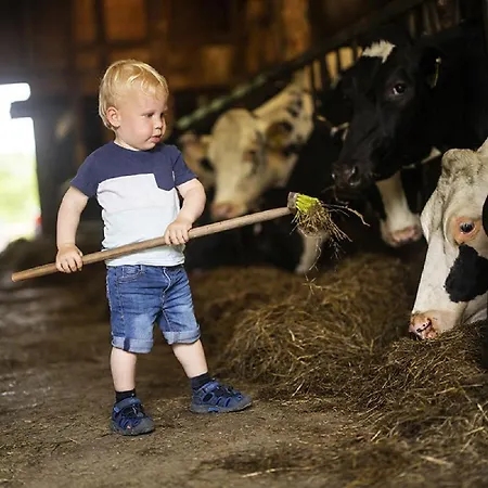 Gut Frielinghausen * משדה