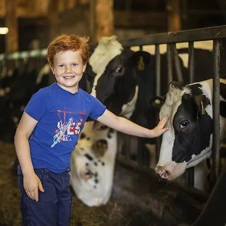 Gut Frielinghausen *