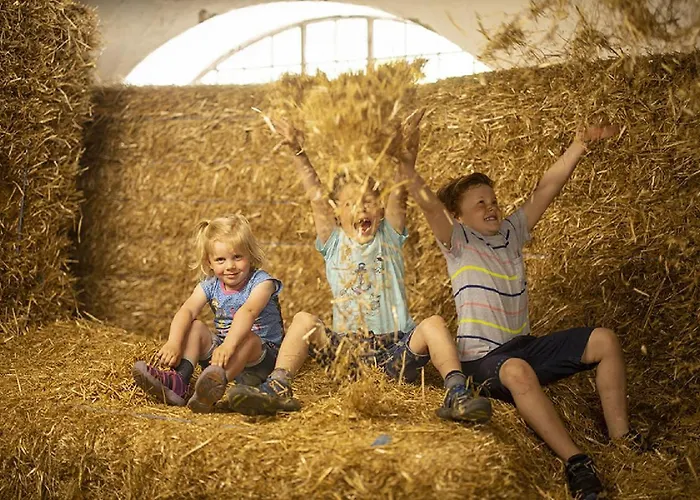 דירה Gut Frielinghausen *