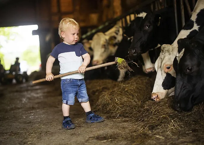 Gut Frielinghausen * משדה